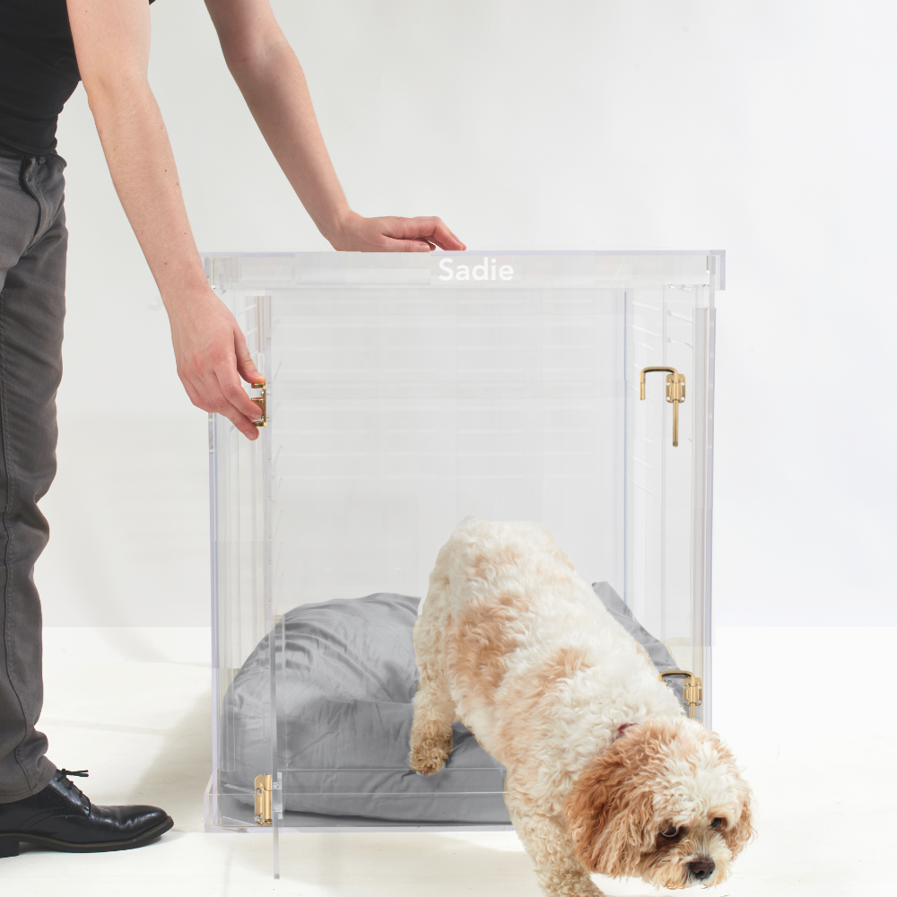 Monogram Medium Crate (Gold Latch)