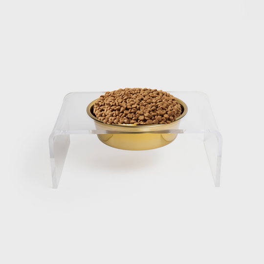 Single Gold Feeder