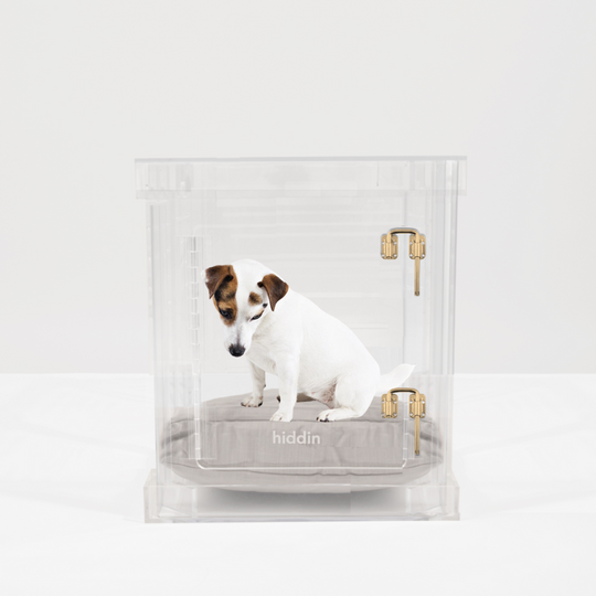 Small Crate (Gold Latch)