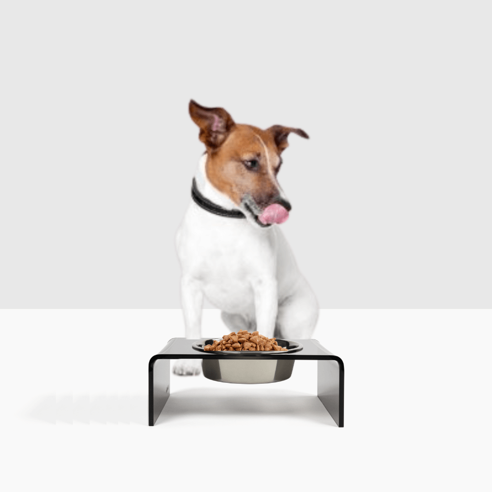 Single Smoke Grey Feeder