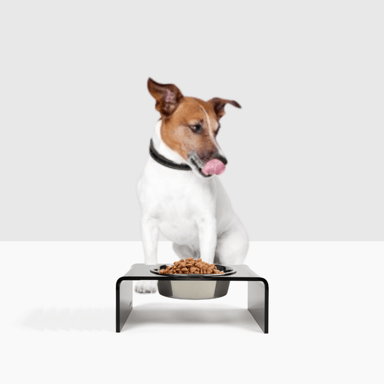 Single Smoke Grey Feeder