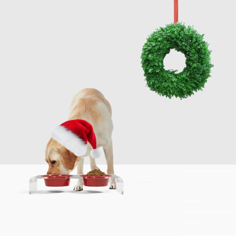 Holiday Double Pet Feeder | Limited Edition
