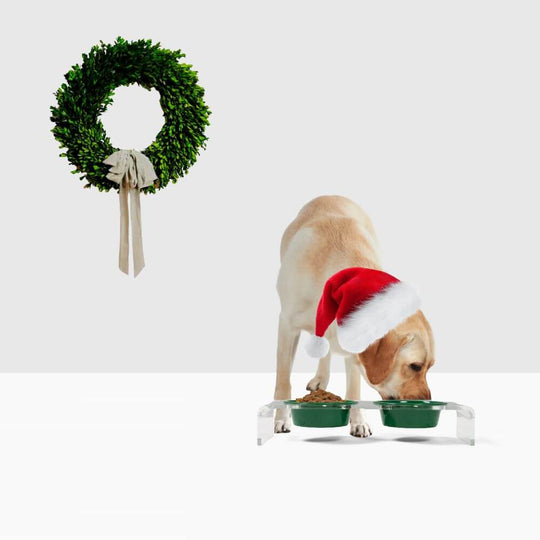 Holiday Double Pet Feeder | Limited Edition