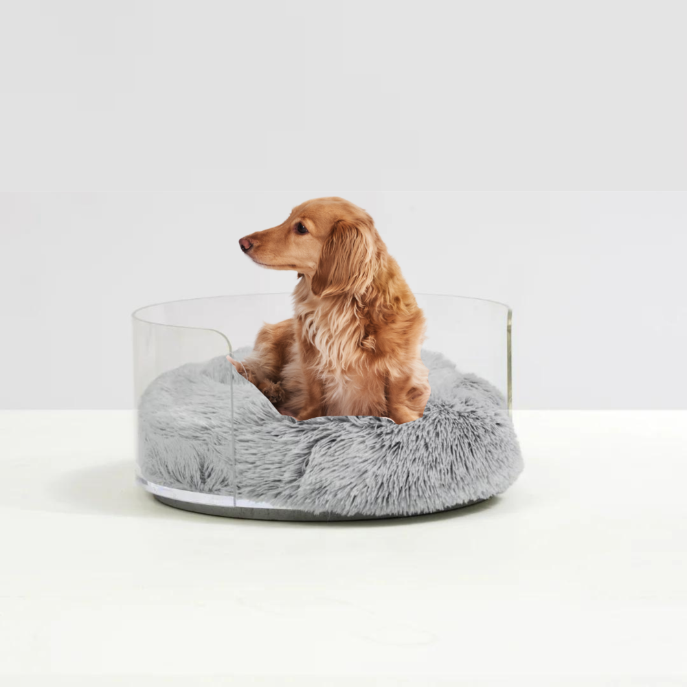 Clear acrylic dog bed best sale