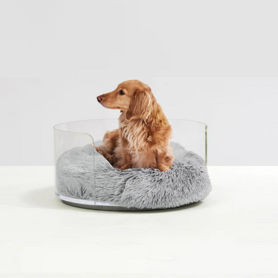 Dog Sitting on Clear Round Pet Bed