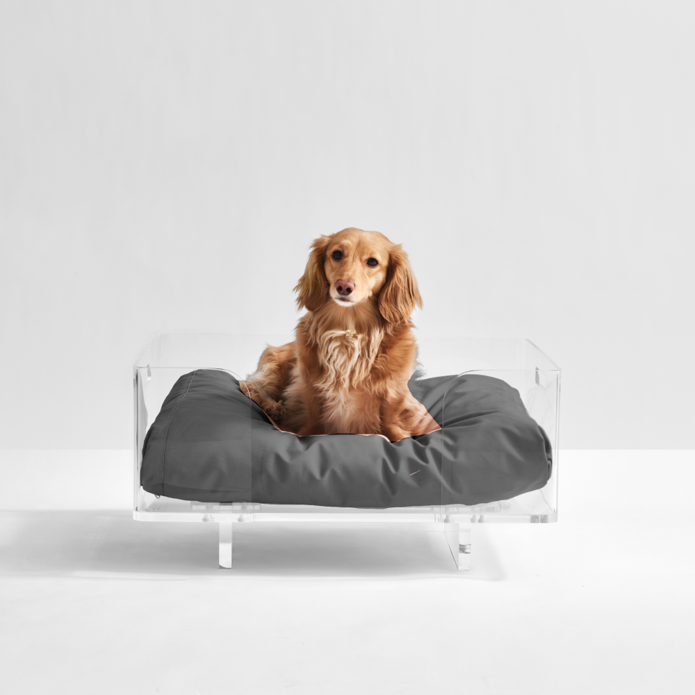 Acrylic top dog bed