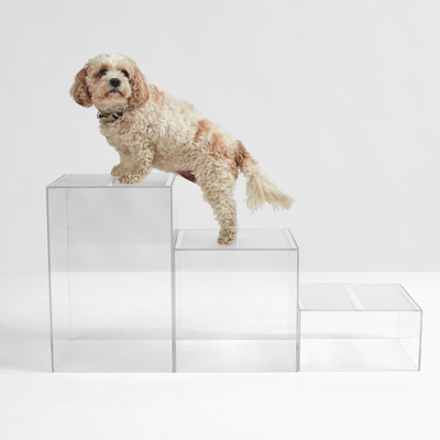 Modern Dog Stairs Acrylic Dog Stairs Pet Steps Hiddin