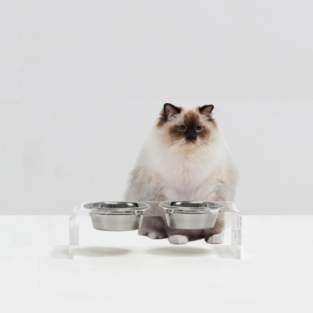 Small Clear Double Pet Bowl Feeder with Silver Bowls | Options