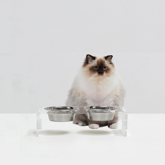 Small Clear Double Pet Bowl Feeder with Silver Bowls | Options