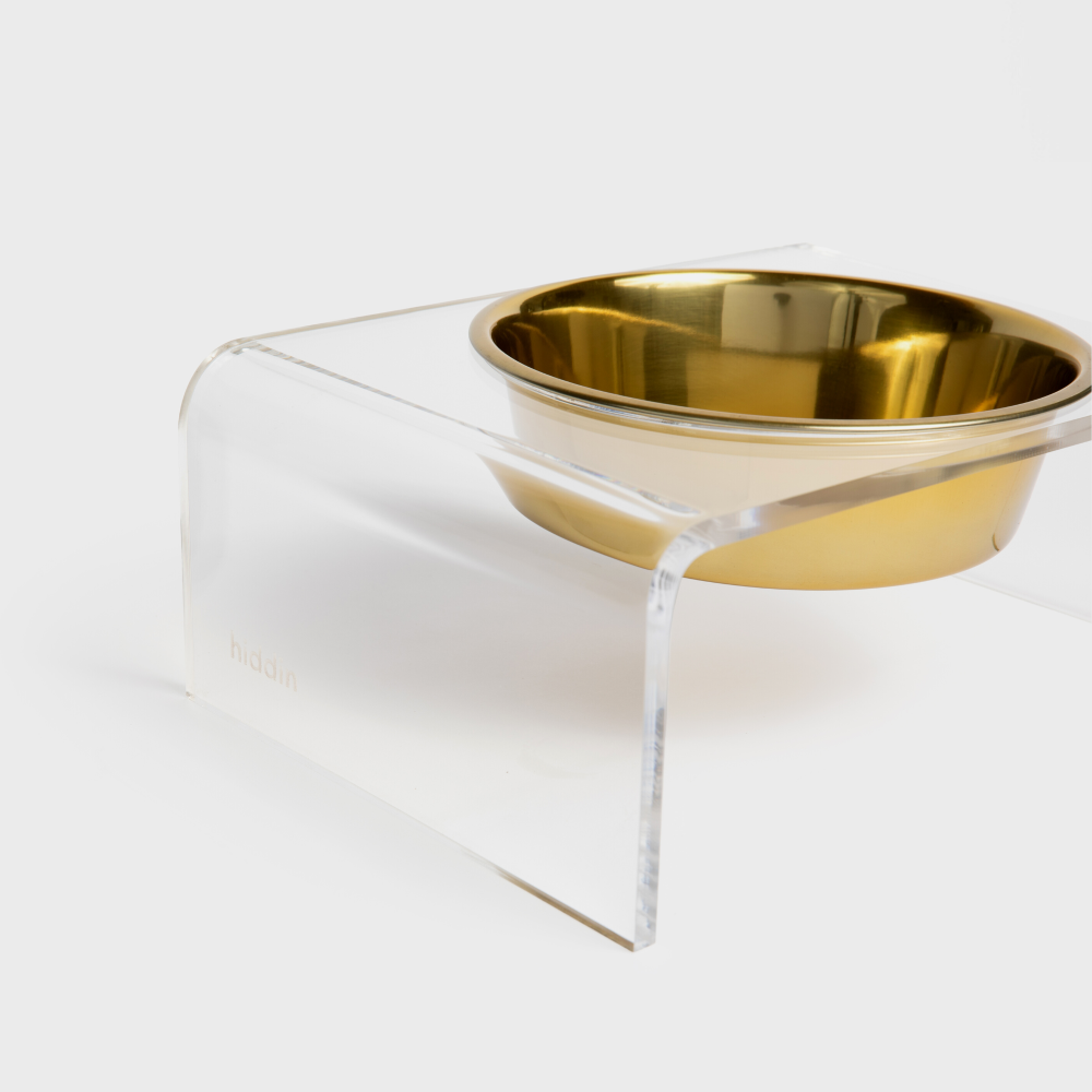 Clear Single Gold Bowl Feeder