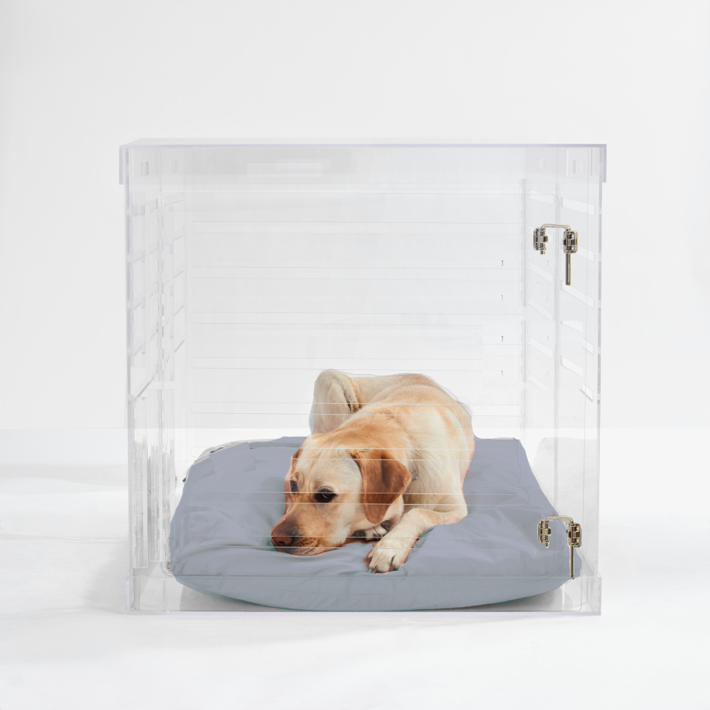 Clear Dog Crate to Gate | Large