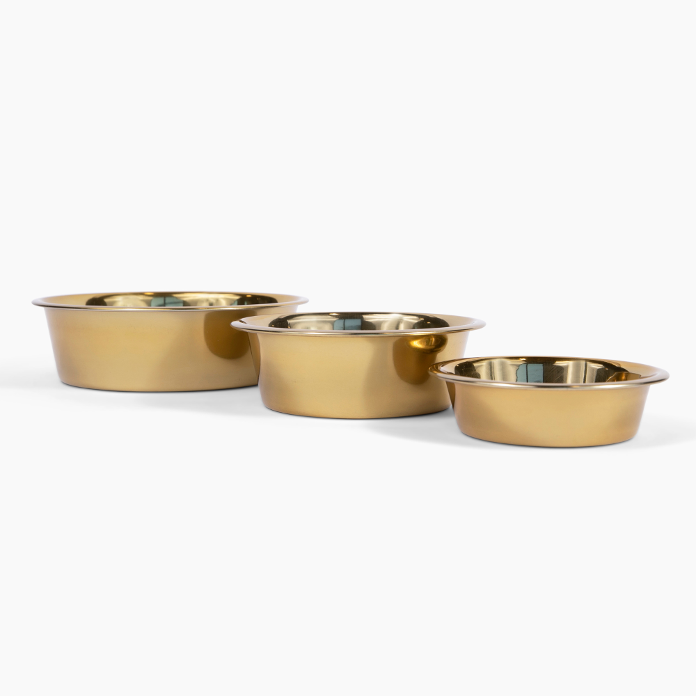 Clear Slanted Gold Bowl Feeder | Options