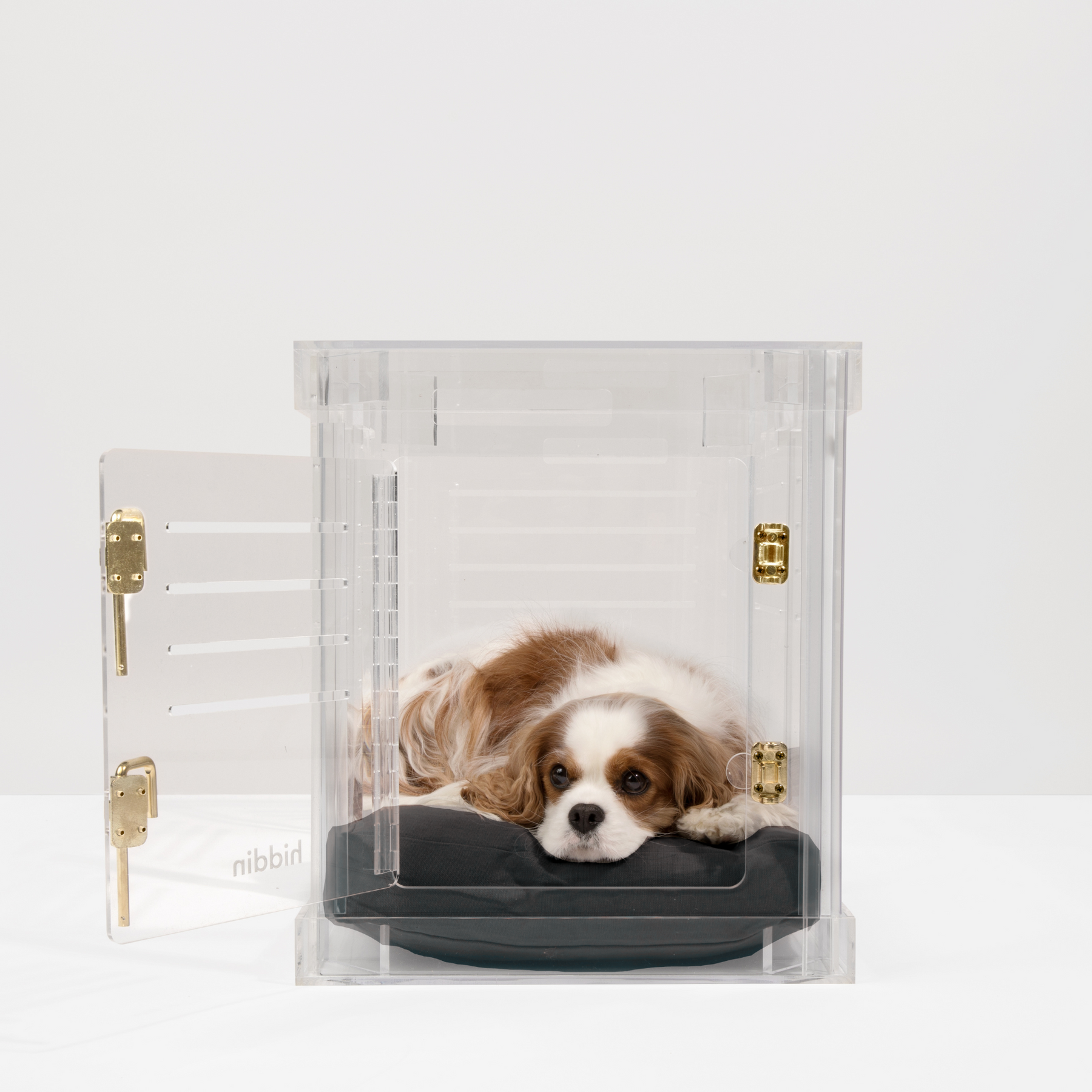 Clear hotsell dog kennel