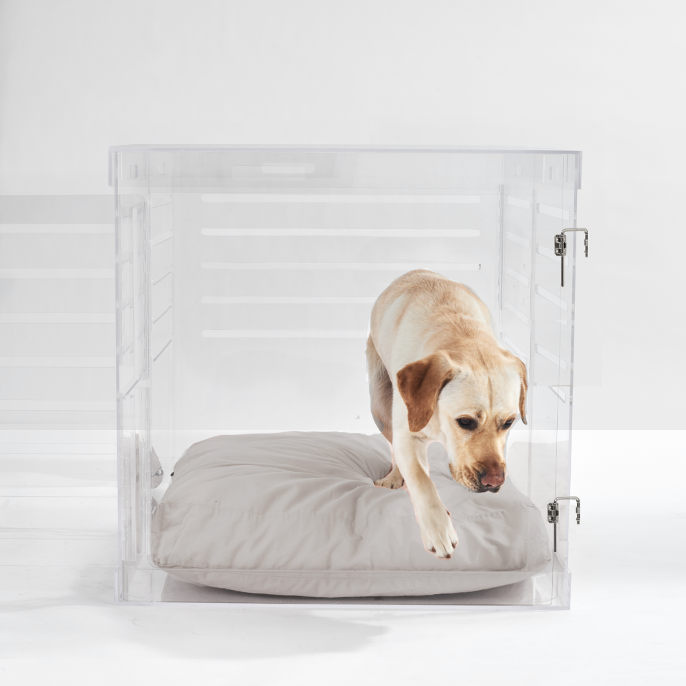 Clear Dog Crate to Gate | Large