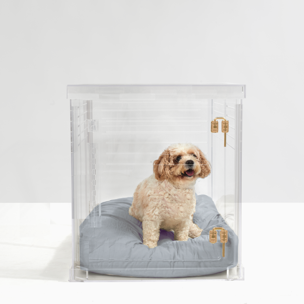 Clear Dog Crate to Gate | Medium