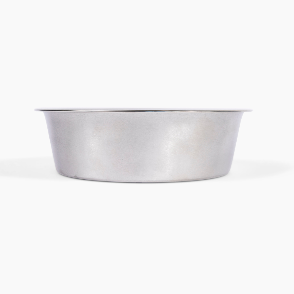 Medium Clear Double Pet Bowl Feeder with Silver Bowls | Options