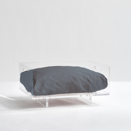 Clear Rectangular Lucite Dog Bed