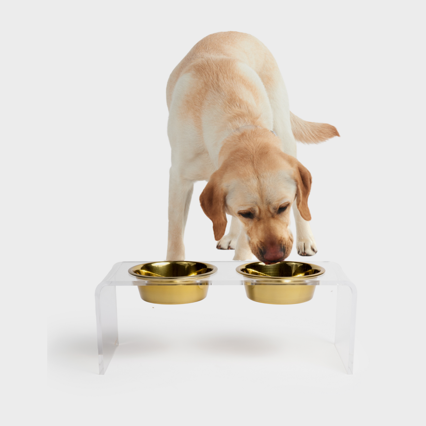Elevated Dog Bowls for Large Dogs, Metal Raised Dog Feeder, Lifted Dog Dish  Stand with Double Stainless Steel Bowls for Food and Water, Antique Gold