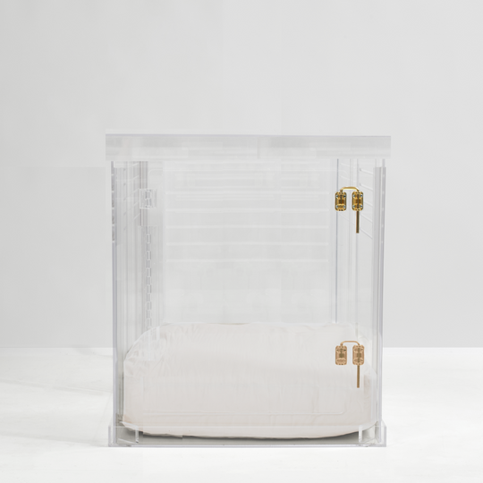 Clear Dog Crate with Cushion