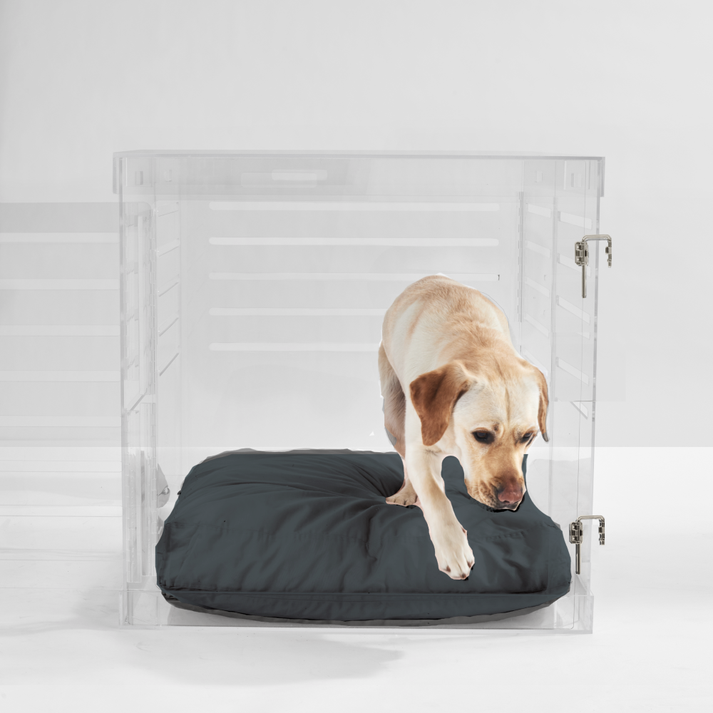 Clear Dog Crate to Gate | Large