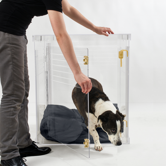 Clear Dog Crate to Gate | Medium