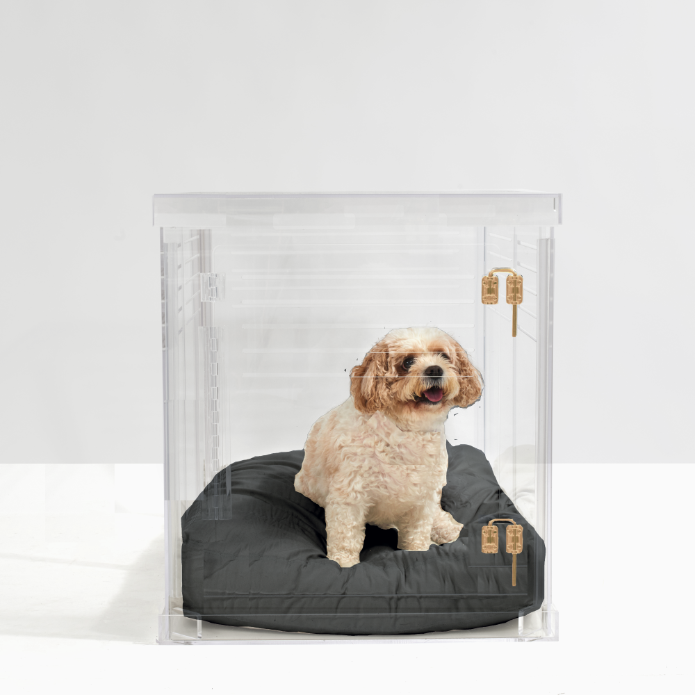 Clear Dog Crate to Gate | Medium