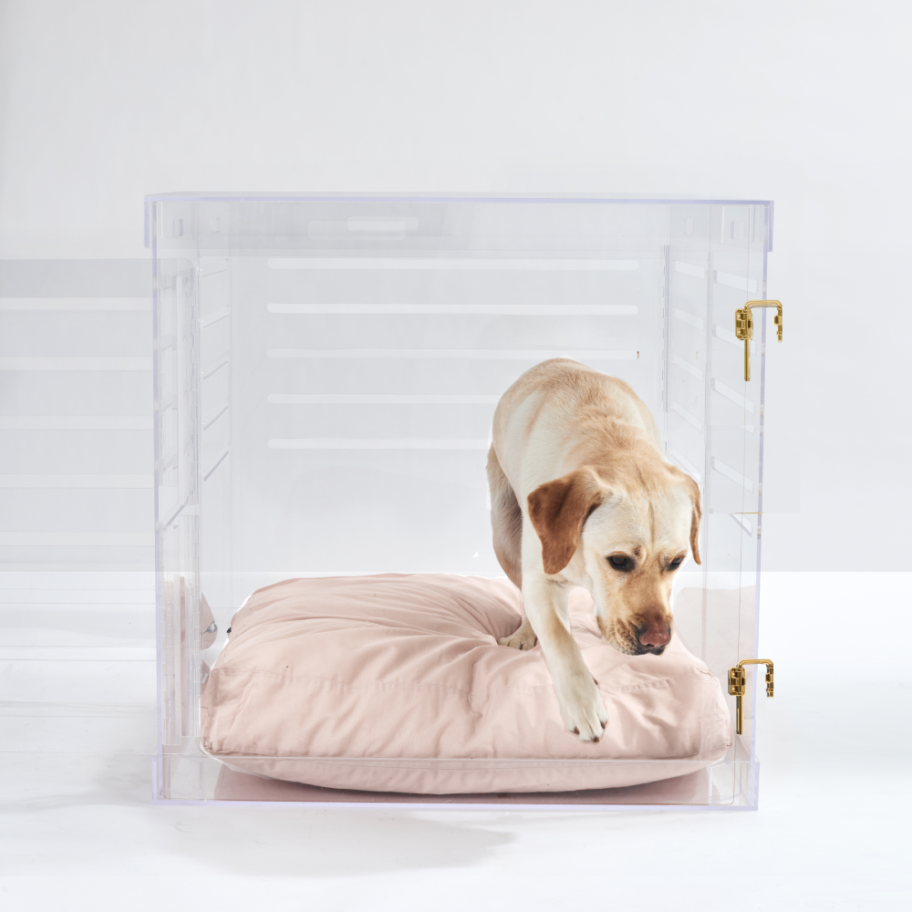 Clear Dog Crate to Gate | Large