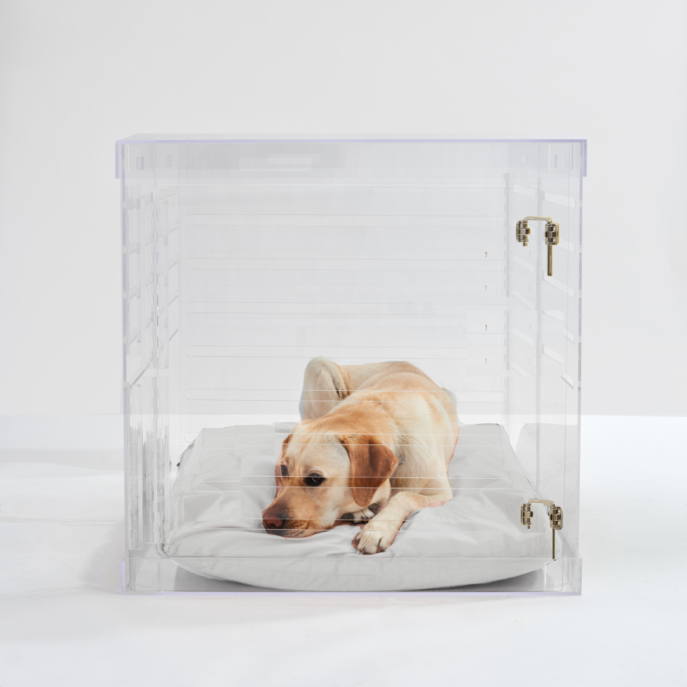 Clear dog crate outlet