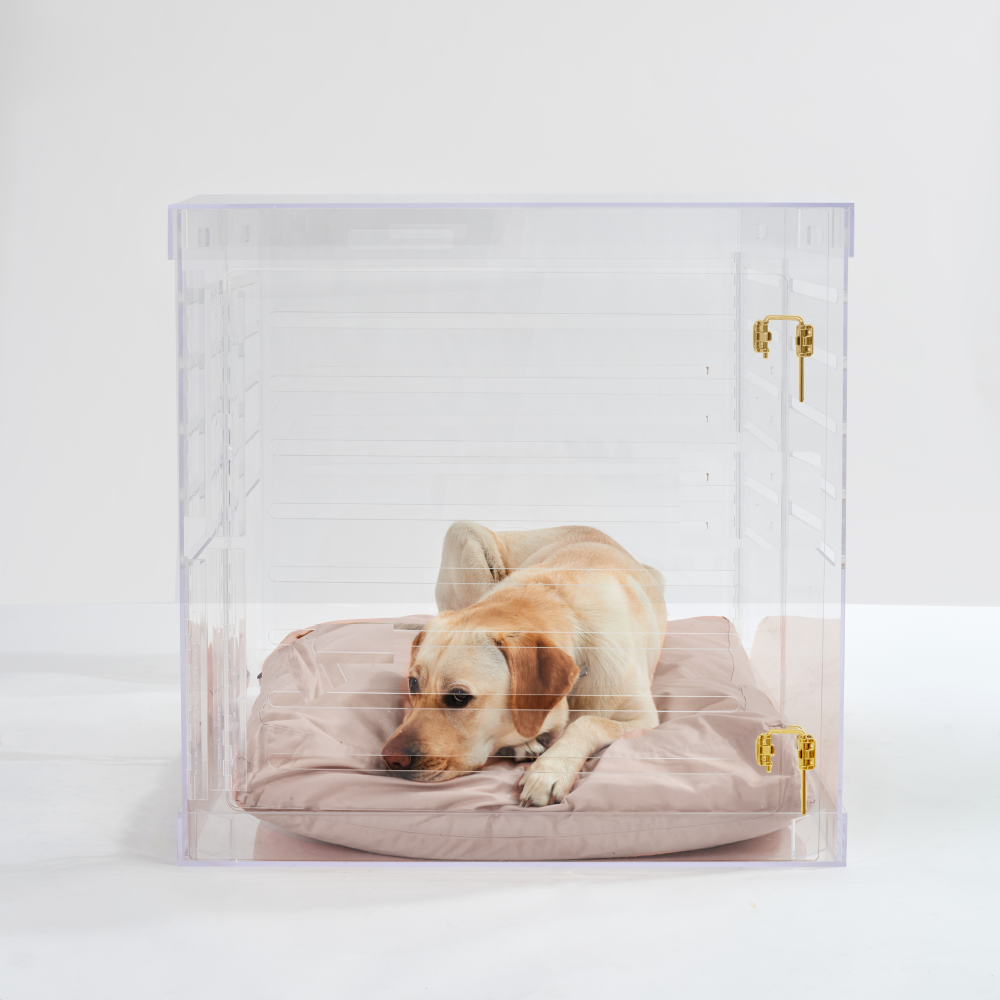 Brass clearance dog crate