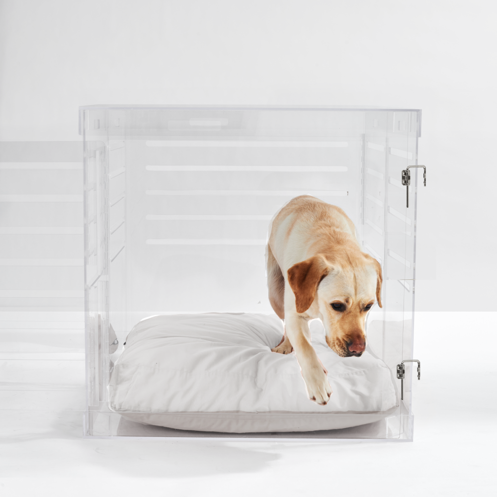 Clear Dog Crate to Gate | Large