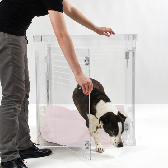 Clear Dog Crate to Gate | Medium