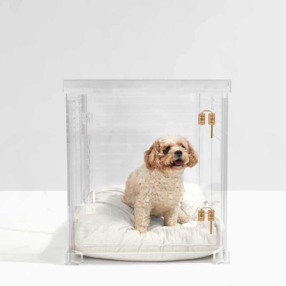 Clear Dog Crate to Gate | Medium