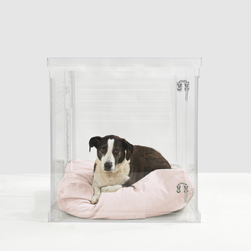 Clear Dog Crate to Gate | Medium