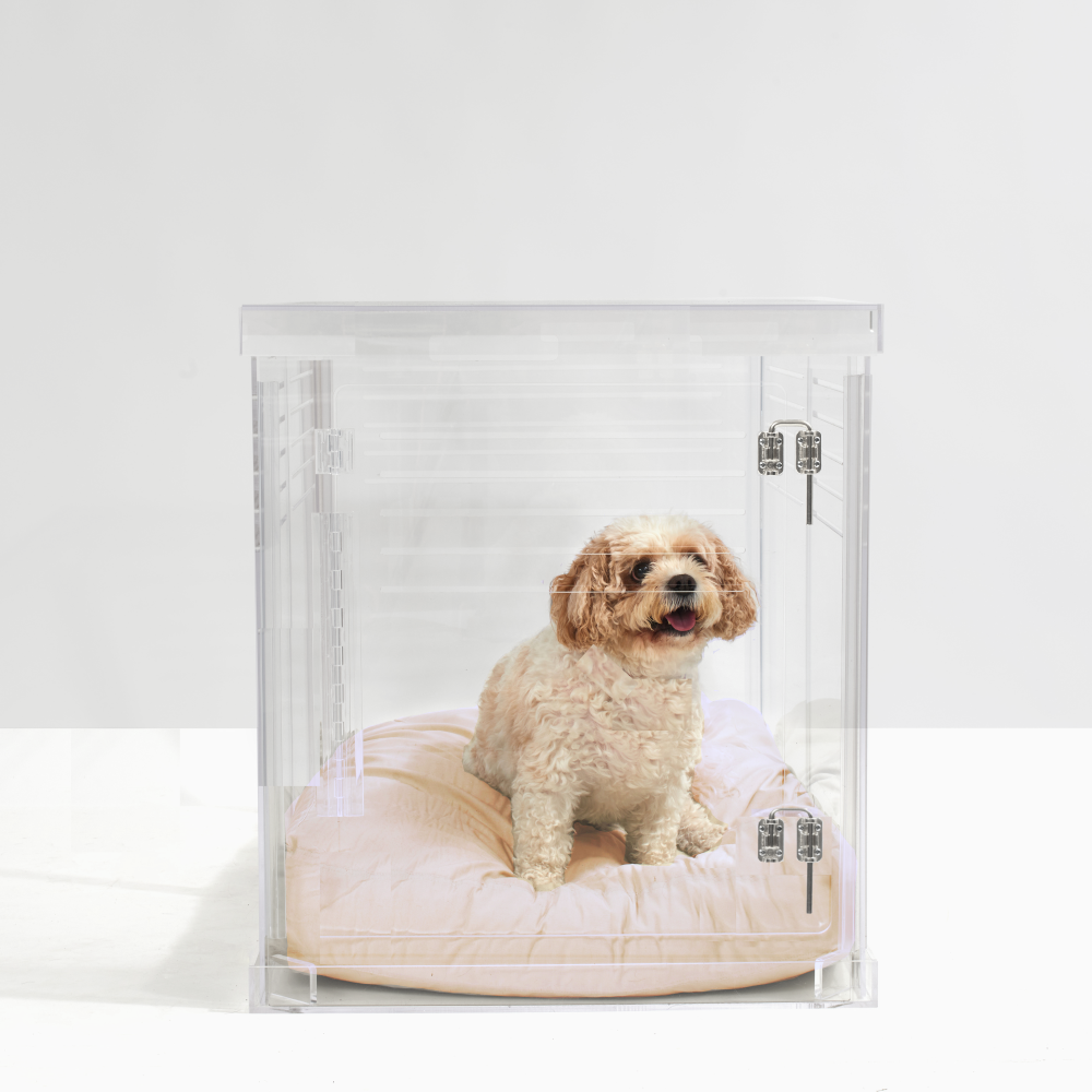 Clear Dog Crate to Gate | Medium