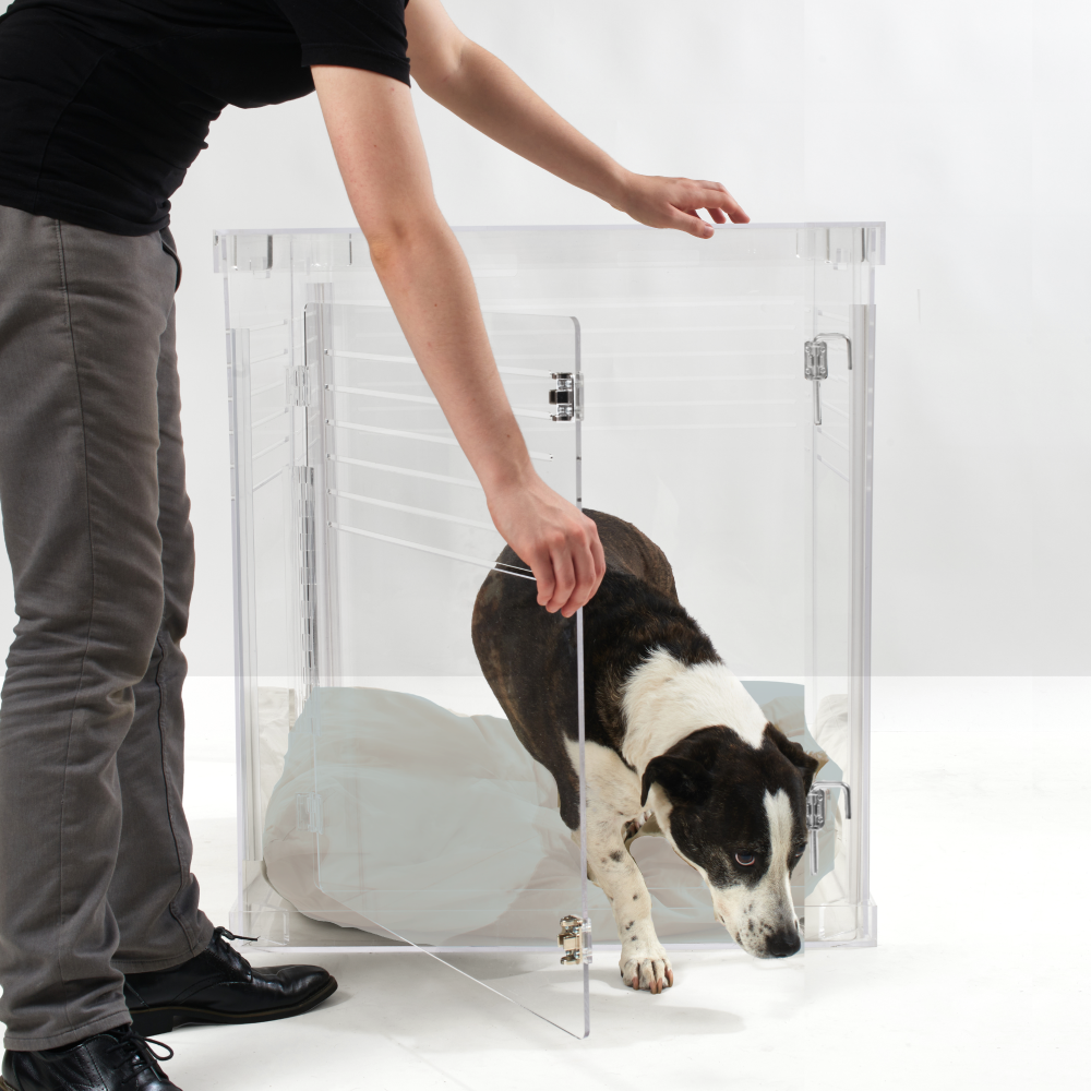 Clear Dog Crate to Gate | Medium