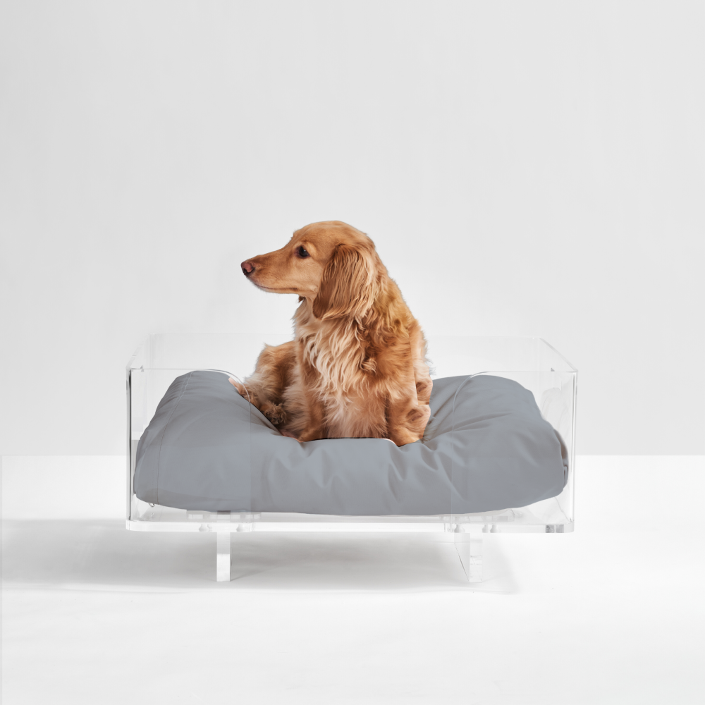 Clear Rectangular Lucite Dog Bed