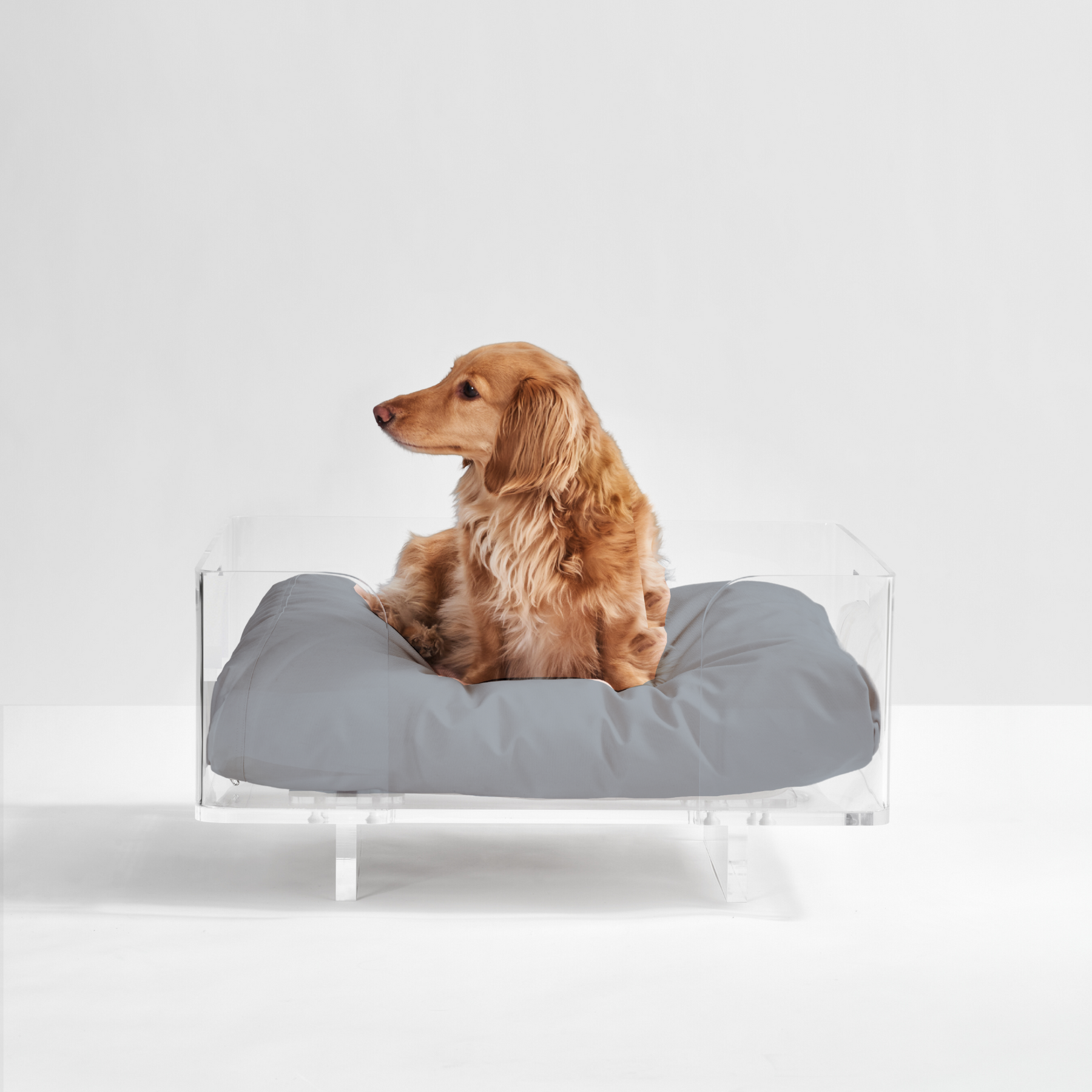 Large Rectangle Dog Bed | Pet Bed Cushion | Hiddin