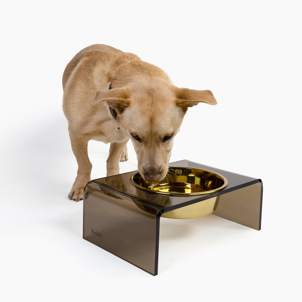 Bronze Single Bowl Pet Feeder | Options