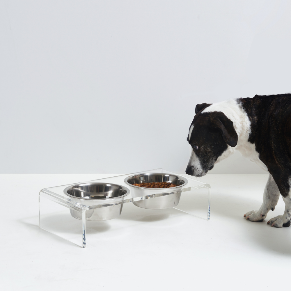 Small Clear Double Pet Bowl Feeder with Silver Bowls | Options