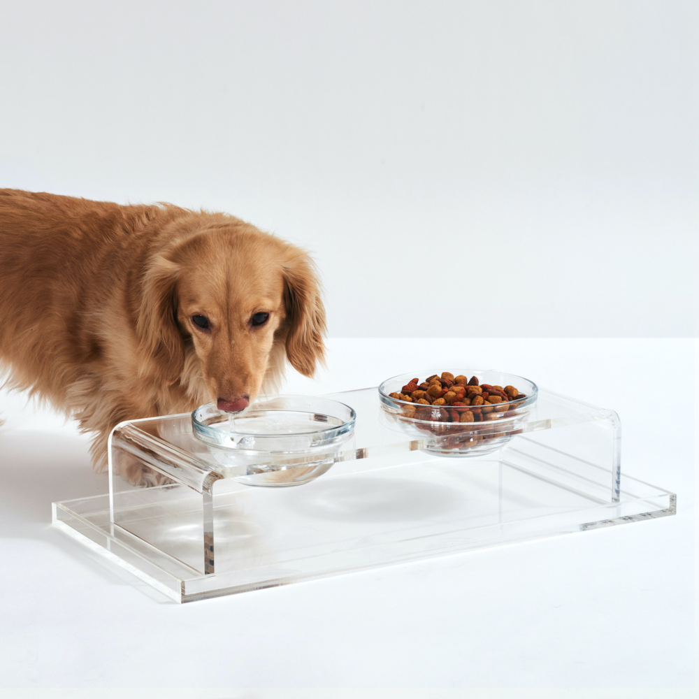 Clear Overflow Feeder Tray | Options