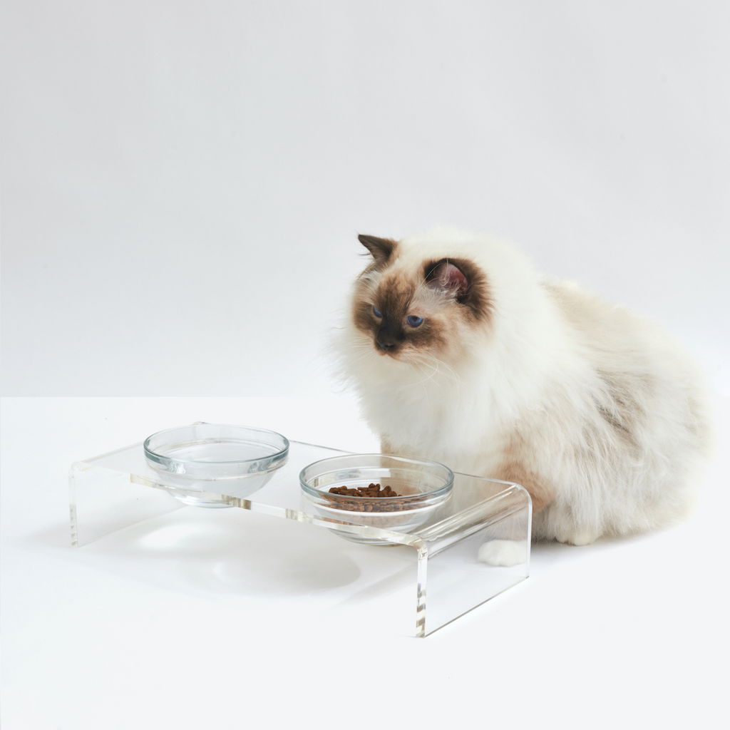 Clear Double Dog Bowl Feeder with Glass Bowls