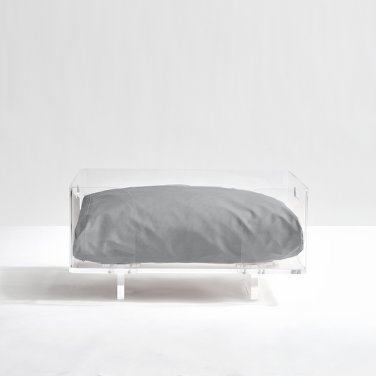 Clear Rectangular Lucite Dog Bed