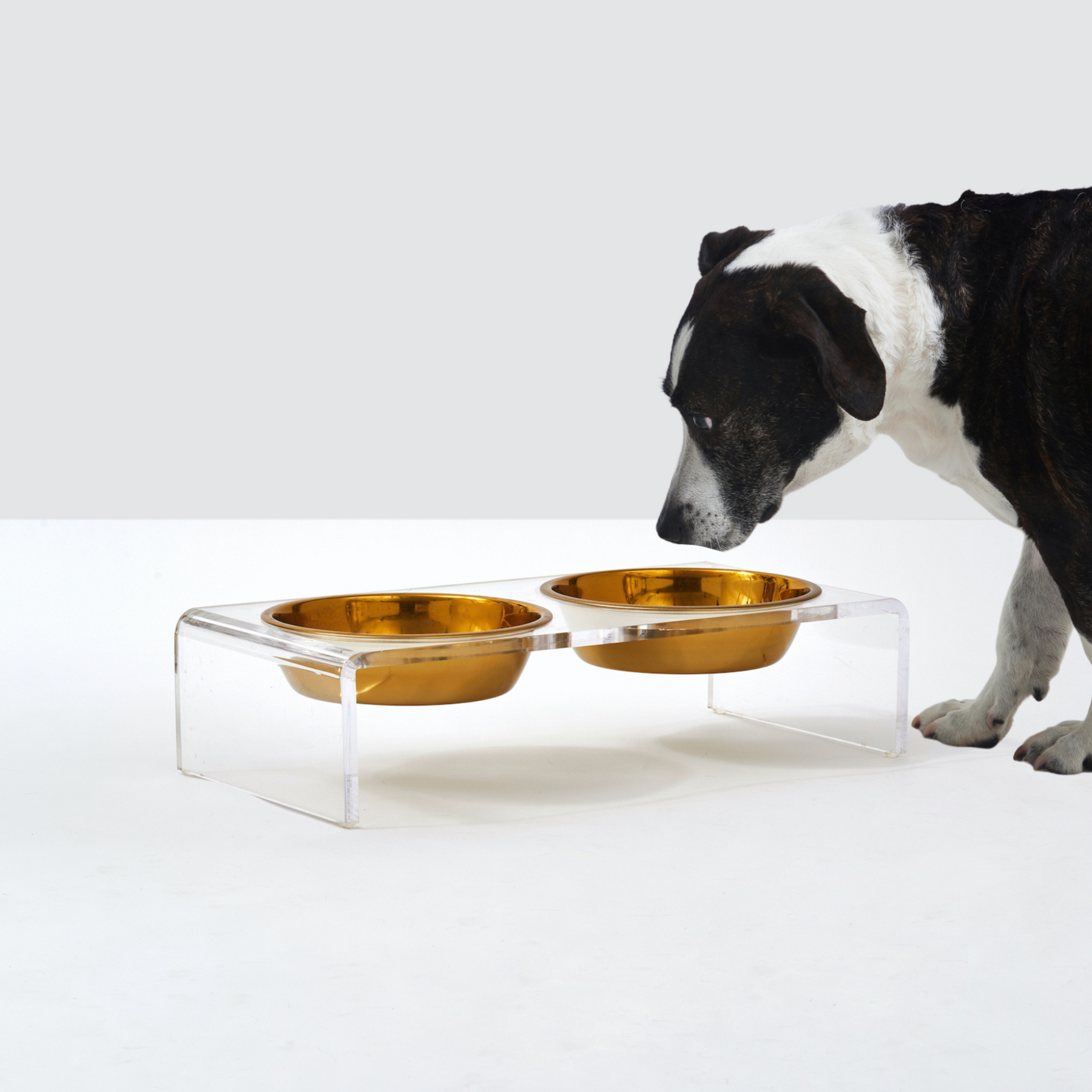 Acrylic Elevated Pet Stand for Cat and Dog with Bowls, Raised Food
