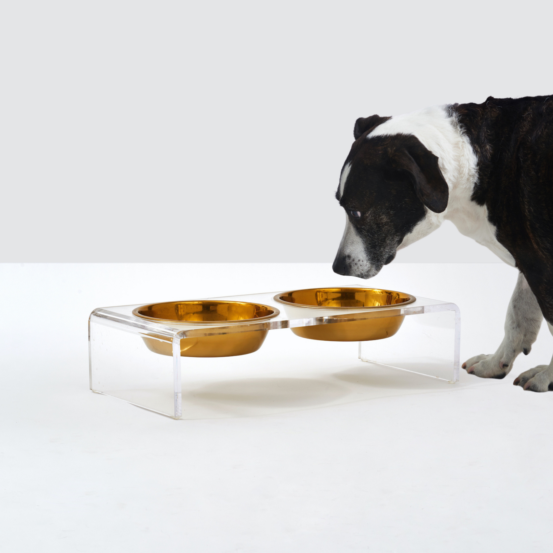 Small Gold Serving Bowls Gold Dog food bowls Hiddin