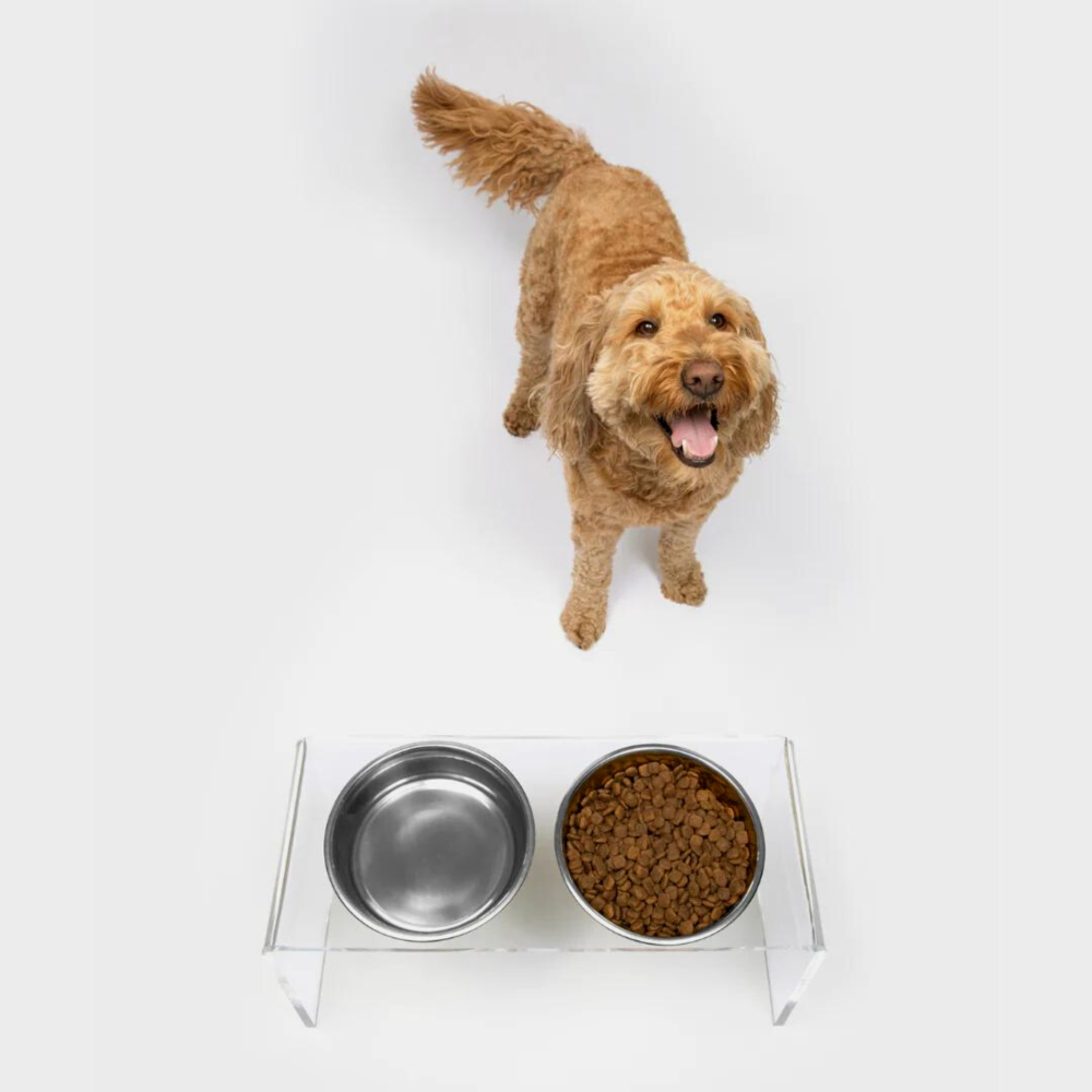 Medium Clear Double Pet Bowl Feeder with Silver Bowls | Options