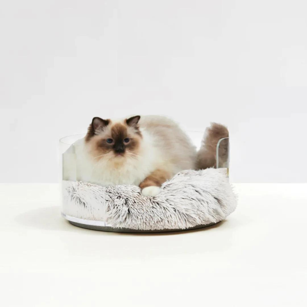 Clear Round Pet Bed with Fluffy Cushion | Options