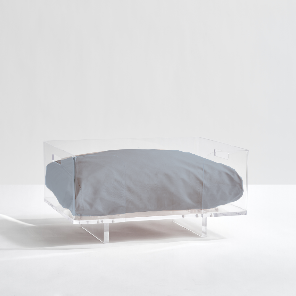 Clear Rectangular Lucite Dog Bed