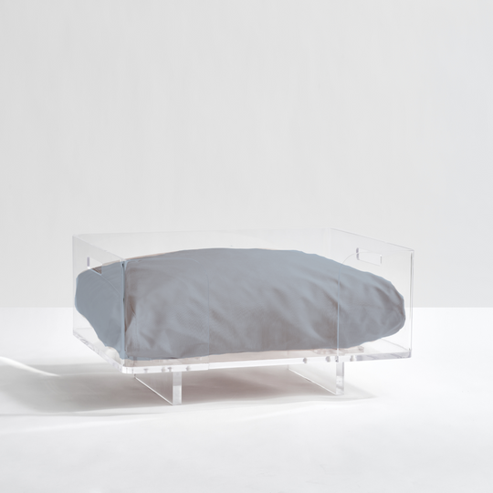 Clear Rectangular Lucite Dog Bed