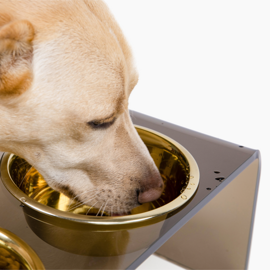 Medium Bronze Double Bowl Pet Feeder | Options