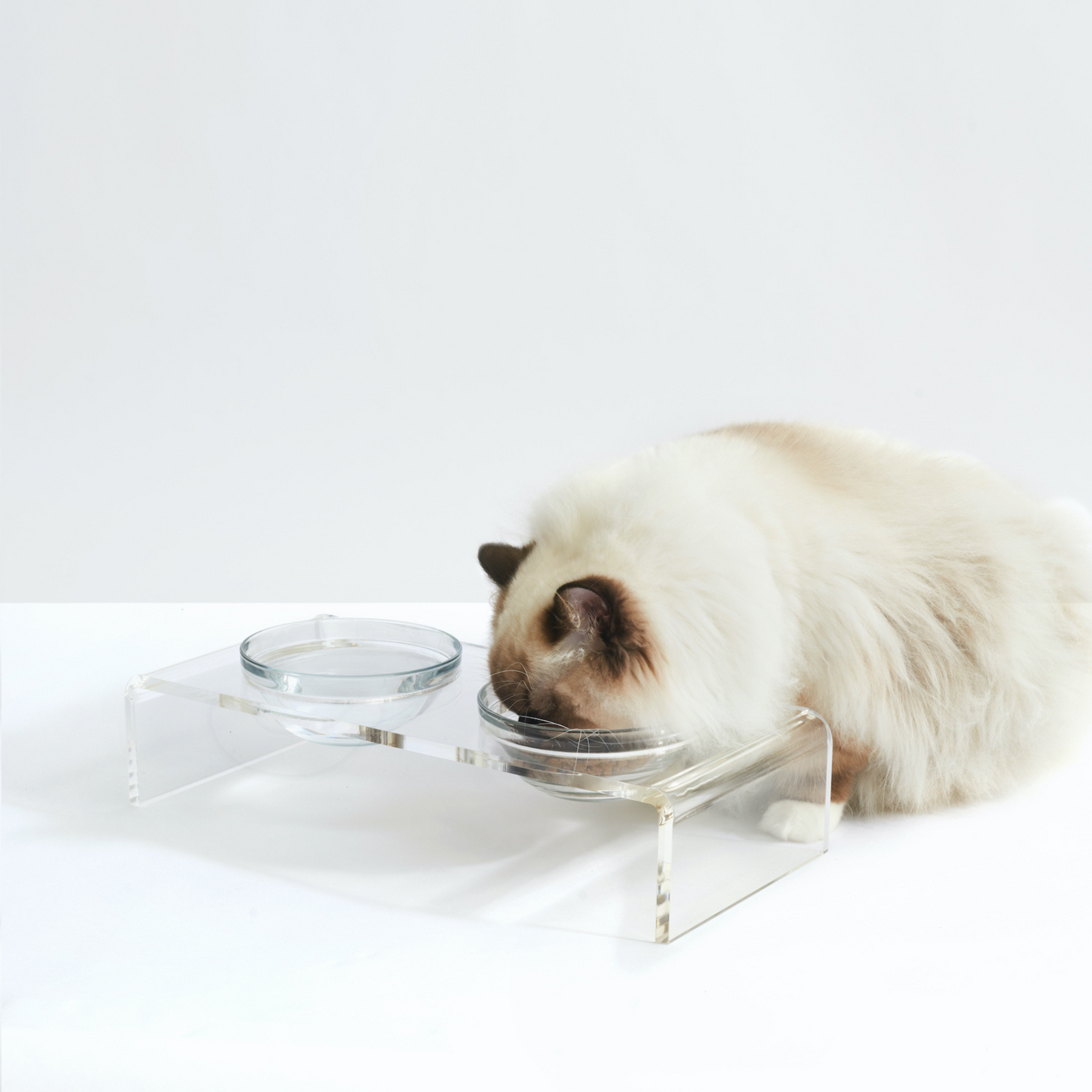 Small Dog & Cat Clear Acrylic Double Bowl Pet Feeder by Hiddin